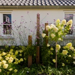 Fotoreportage van tuin in Maarssen voor Groencentrum van Kleinwee