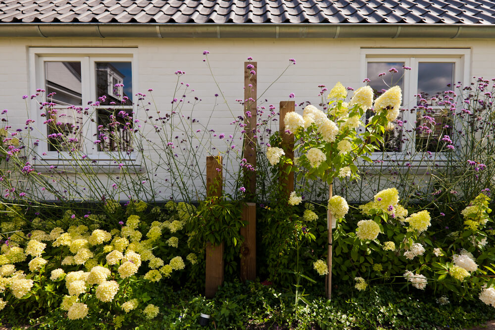 Fotoreportage van tuin in Maarssen voor Groencentrum van Kleinwee